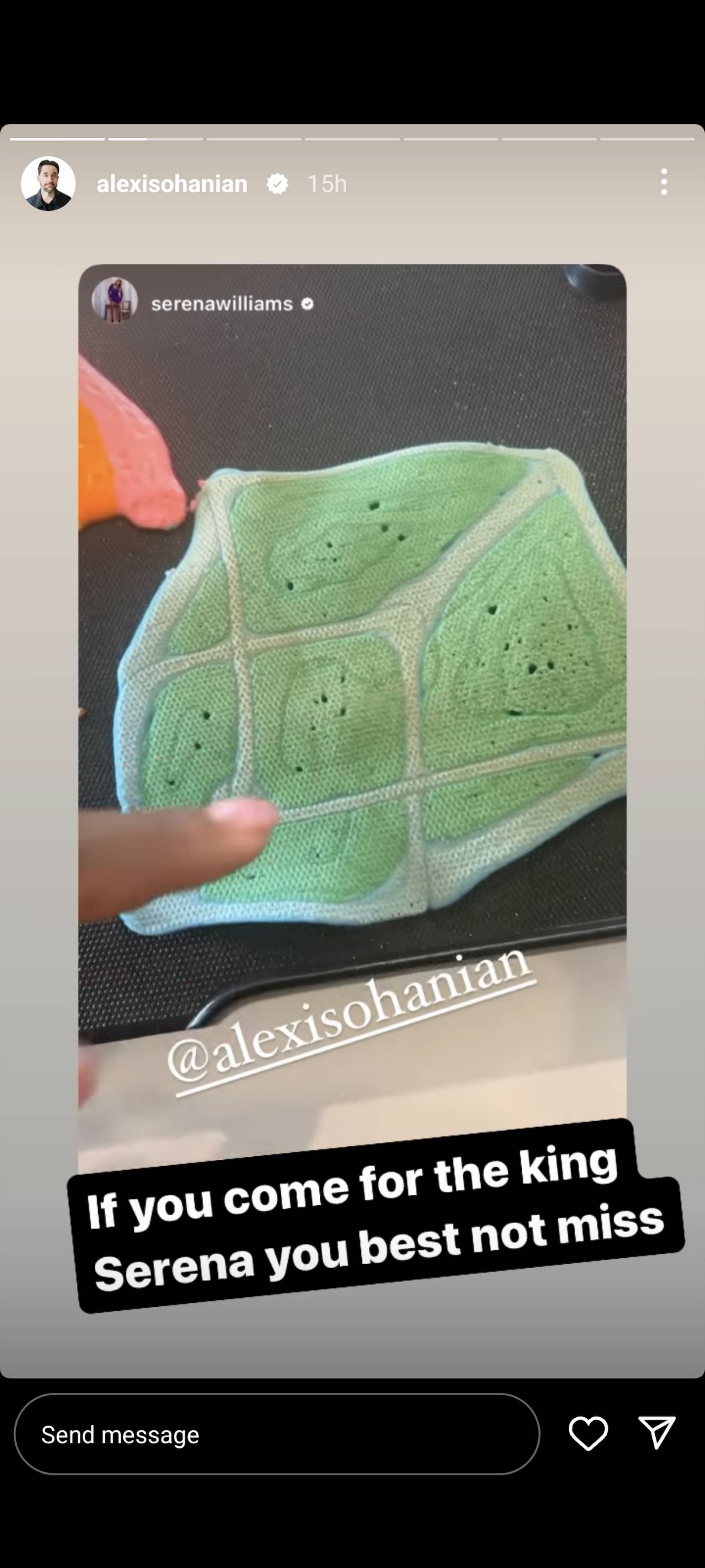 Alexis Ohanian's Instagram story
